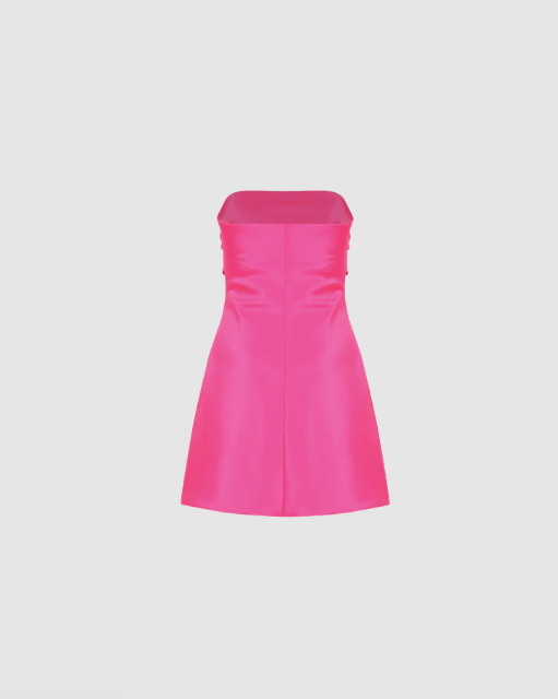Cher Ruby Mini Dress in Pink